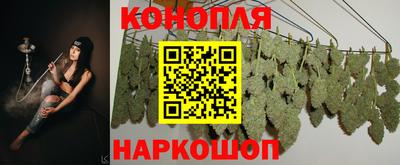 Альфа ПВП Кунгур