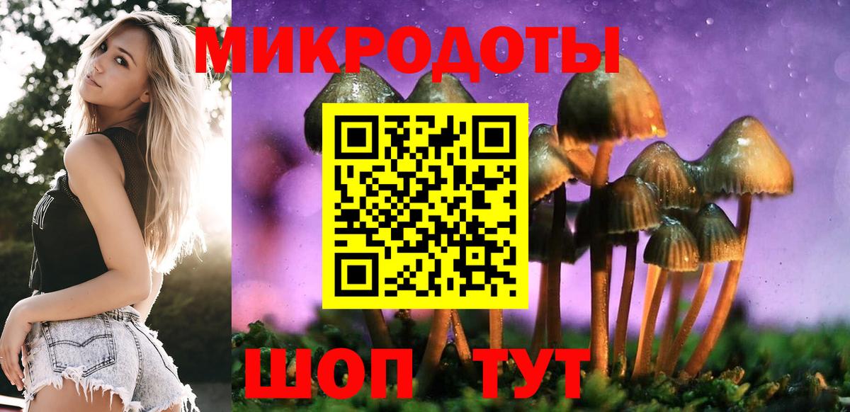 Каменск-Шахтинский  Псилоцибиновые грибы MAGIC MUSHROOMS  Галлюциногенные грибы Psilocybine cubensis  Вход с VPN 