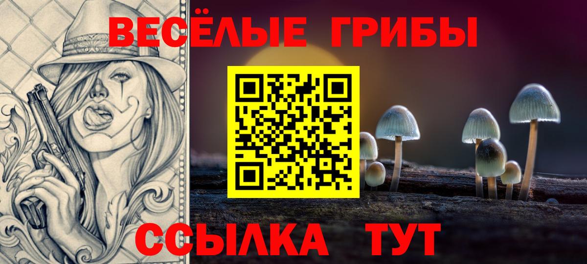 Галлюциногенные грибы Psilocybe Каменск-Шахтинский